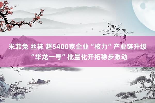 米菲兔 丝袜 超5400家企业“核力”产业链升级 “华龙一号”批量化开拓稳步激动