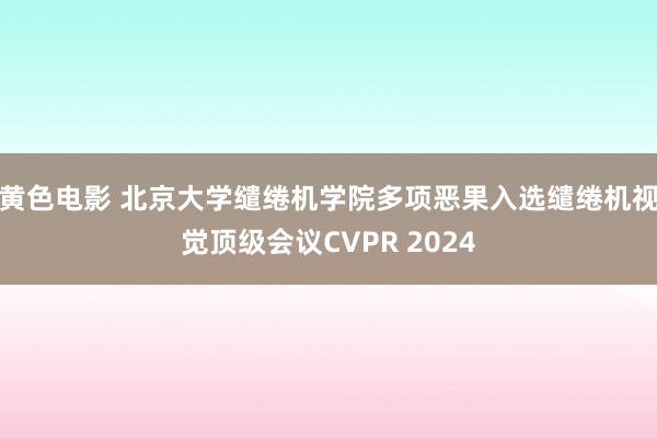 黄色电影 北京大学缱绻机学院多项恶果入选缱绻机视觉顶级会议CVPR 2024