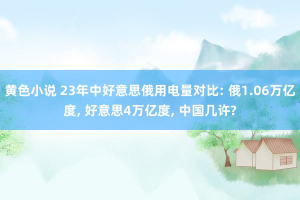 黄色小说 23年中好意思俄用电量对比: 俄1.06万亿度, 