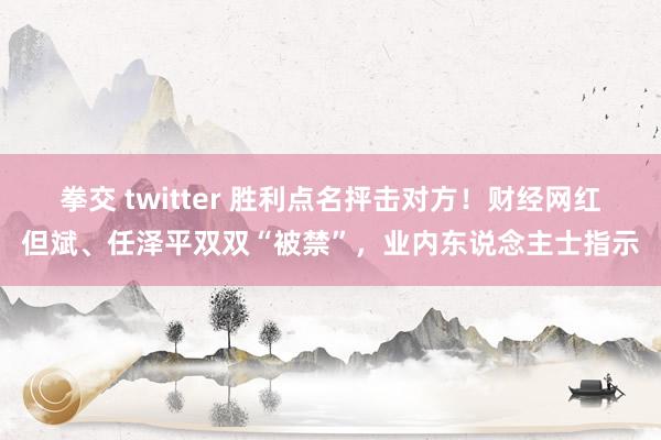 拳交 twitter 胜利点名抨击对方！财经网红但斌、任泽平