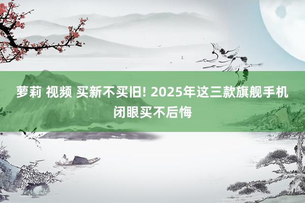 萝莉 视频 买新不买旧! 2025年这三款旗舰手机闭眼买不后悔