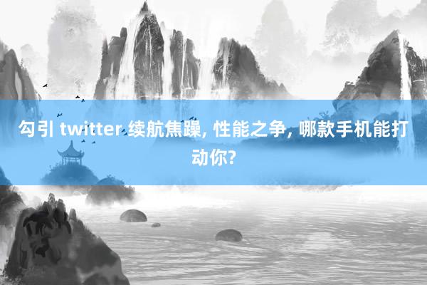 勾引 twitter 续航焦躁， 性能之争， 哪款手机能打动你?