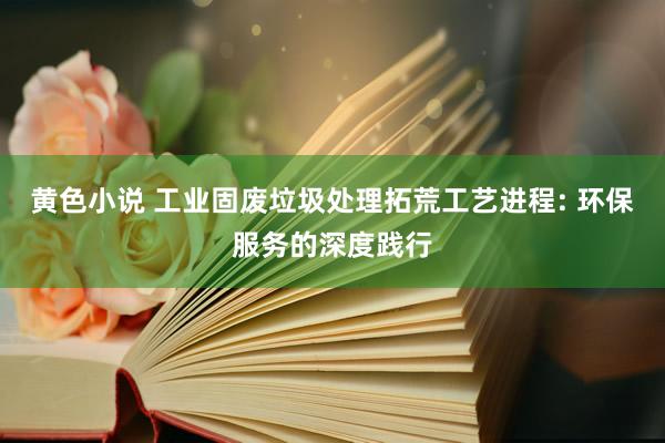黄色小说 工业固废垃圾处理拓荒工艺进程: 环保服务的深度践行