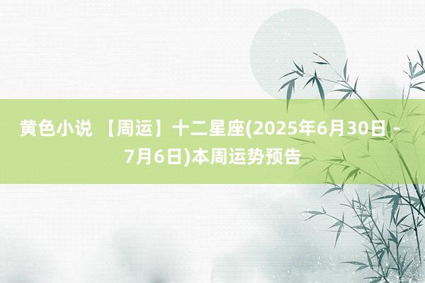 黄色小说 【周运】十二星座(2025年6月30日 - 7月6日)本周运势预告